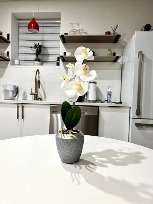 Luxury And Cozy 1 Bed Condo In The Heart Of Providence Buitenkant foto